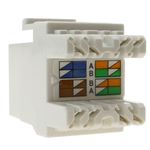 Keystone RJ45 hembra a TB110 Cat.5e UTP blanca - RC06700 - 03
