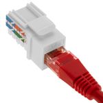 Keystone RJ45 hembra TB110 Cat. 5e UTP pack de 6 unidades - RC10000 - 03