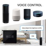 Interruptor inteligente táctil regulable en color negro compatible con Google Home, Alexa y IFTTT - AN12800 - 06