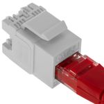 Keystone RJ45 hembra TB110 Cat. 5e UTP pack de 6 unidades - RC12000 - 03